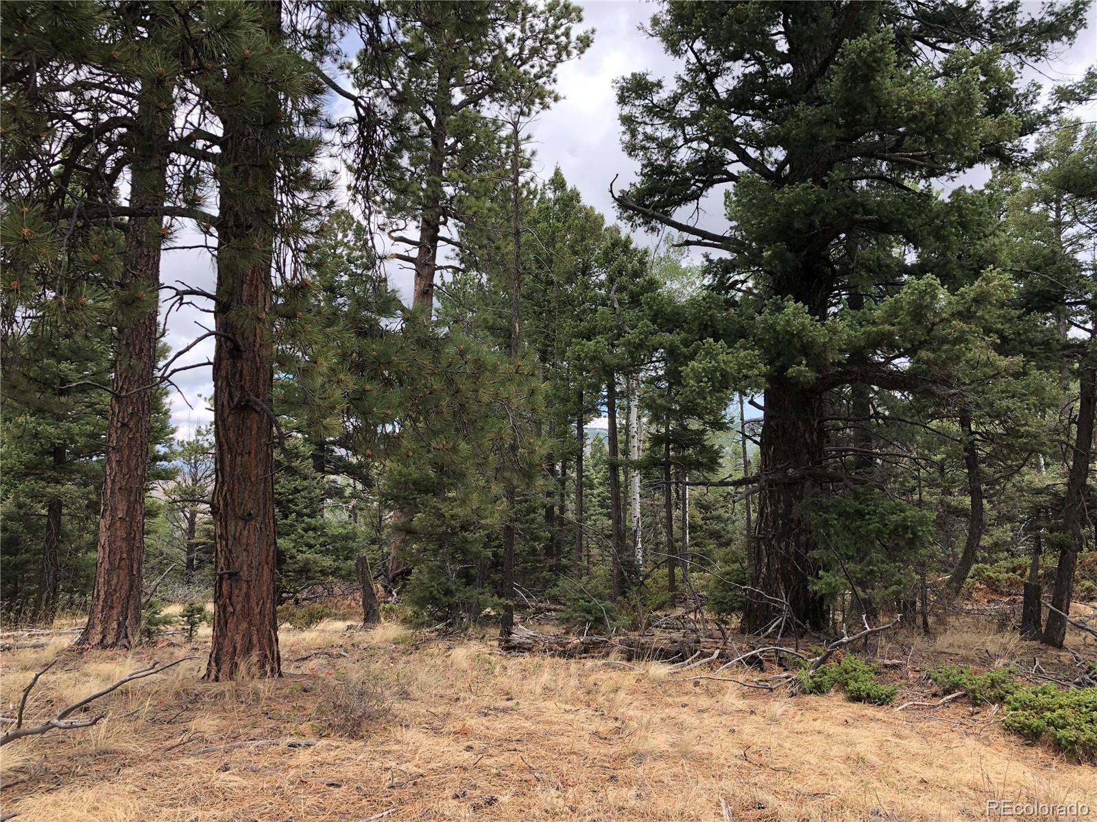 Lot 174 Ferris Place