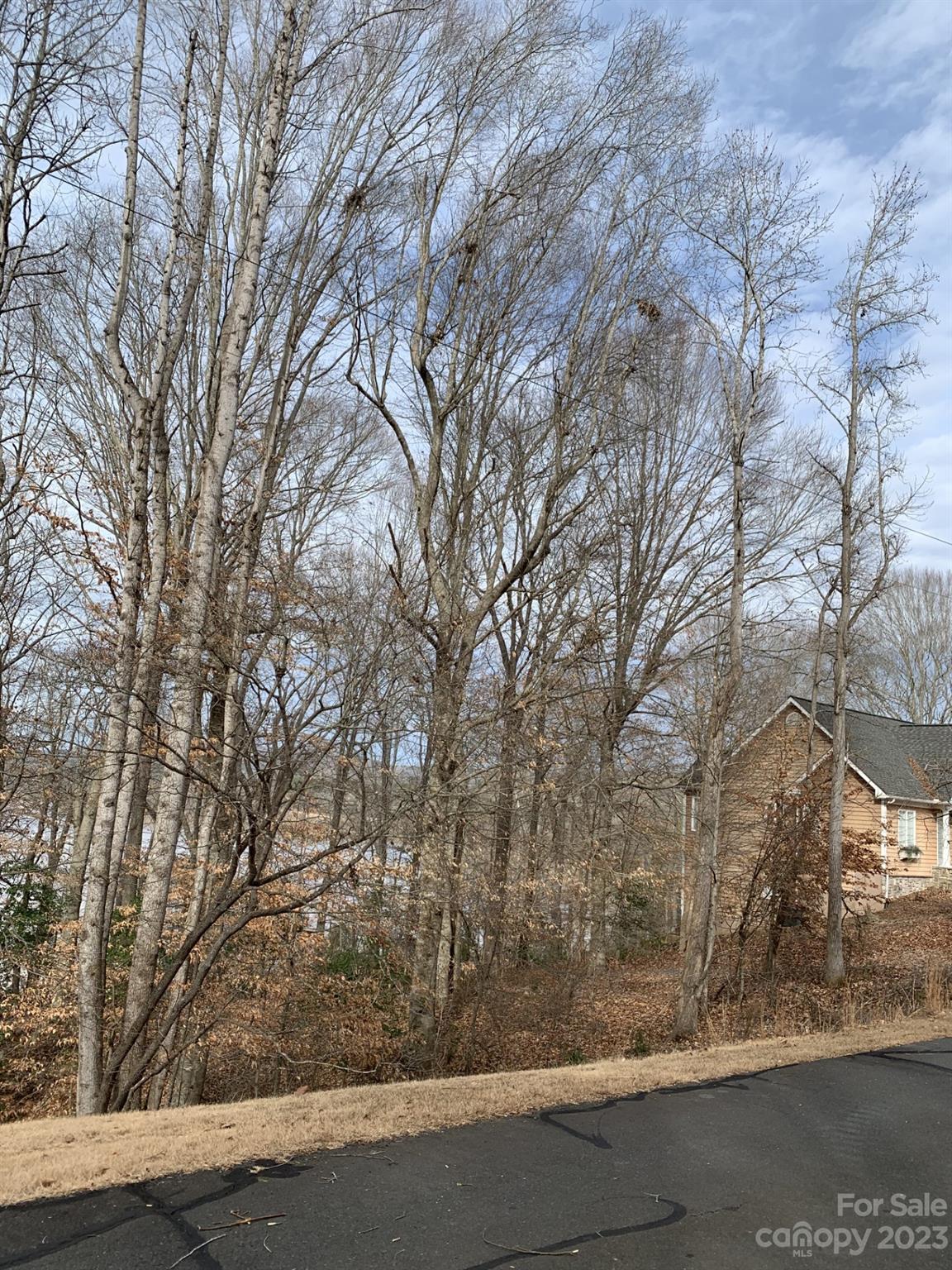 231 Overlook Drive