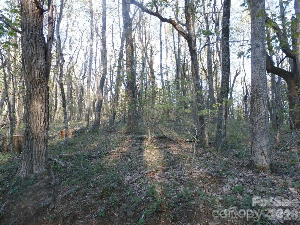 288 Firetower Road