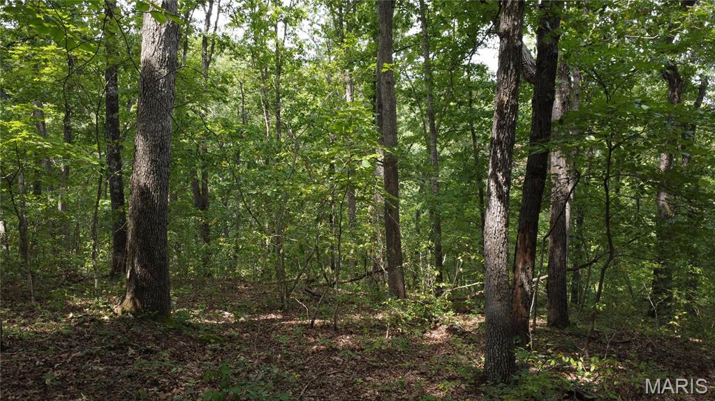 10223 San Juan Trail