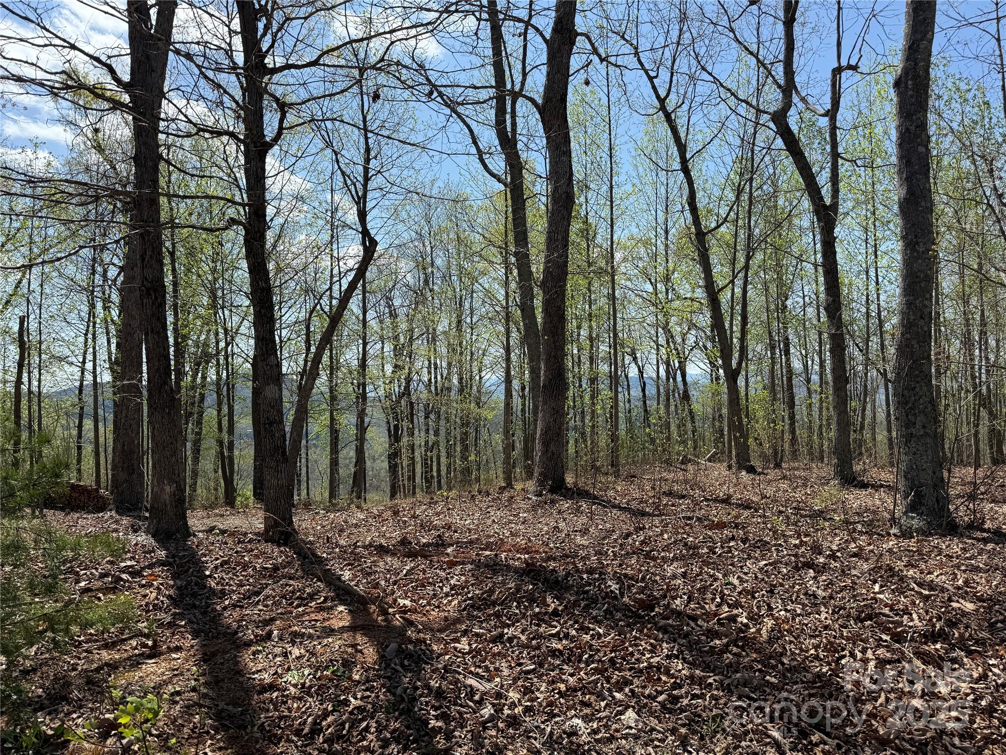 183 Woodgate Trail 103