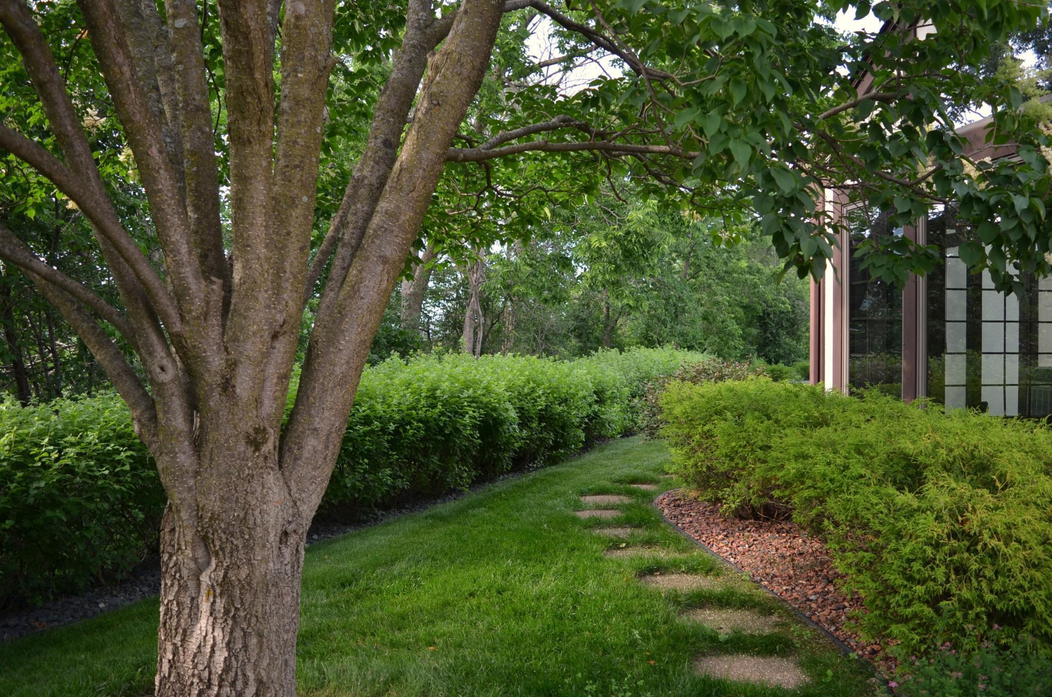 4336 Lookout Lane