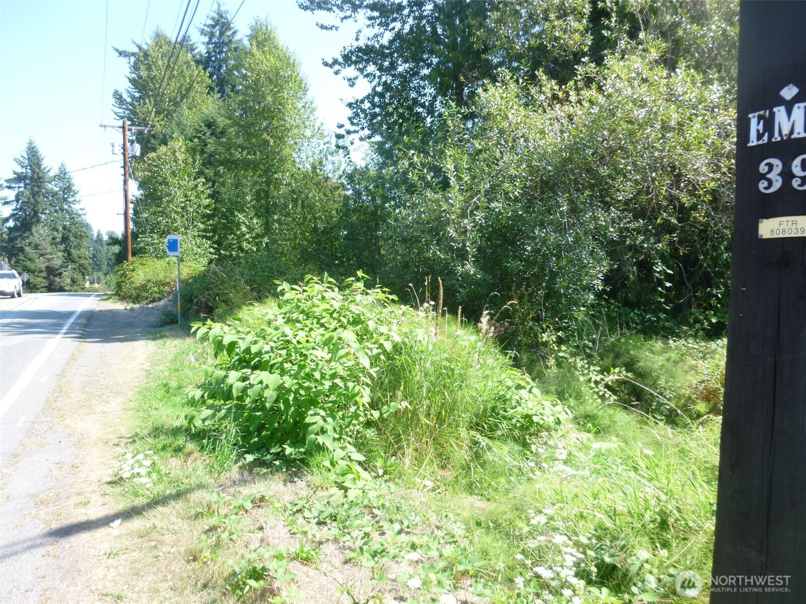 0 Larch Way