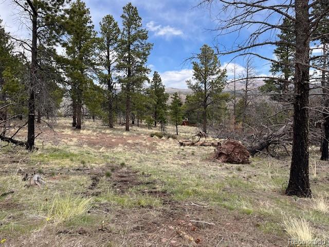 Lot 291 Dany Place