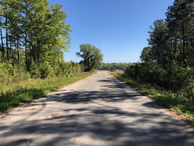 42.9 Acres that could possibly be rezoned for a number of different purposes.  Adjoins City of Thomasville City Limits.  Presently is in Thomas County zoned Agricultural.