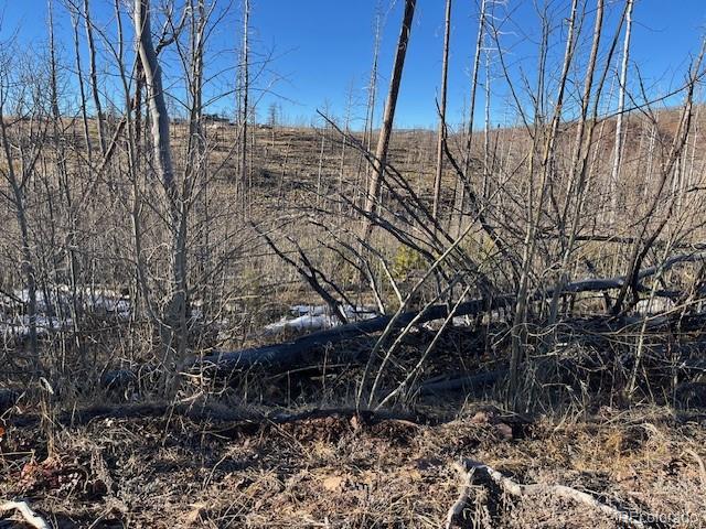 Lot 1502 Vonheyl Lane