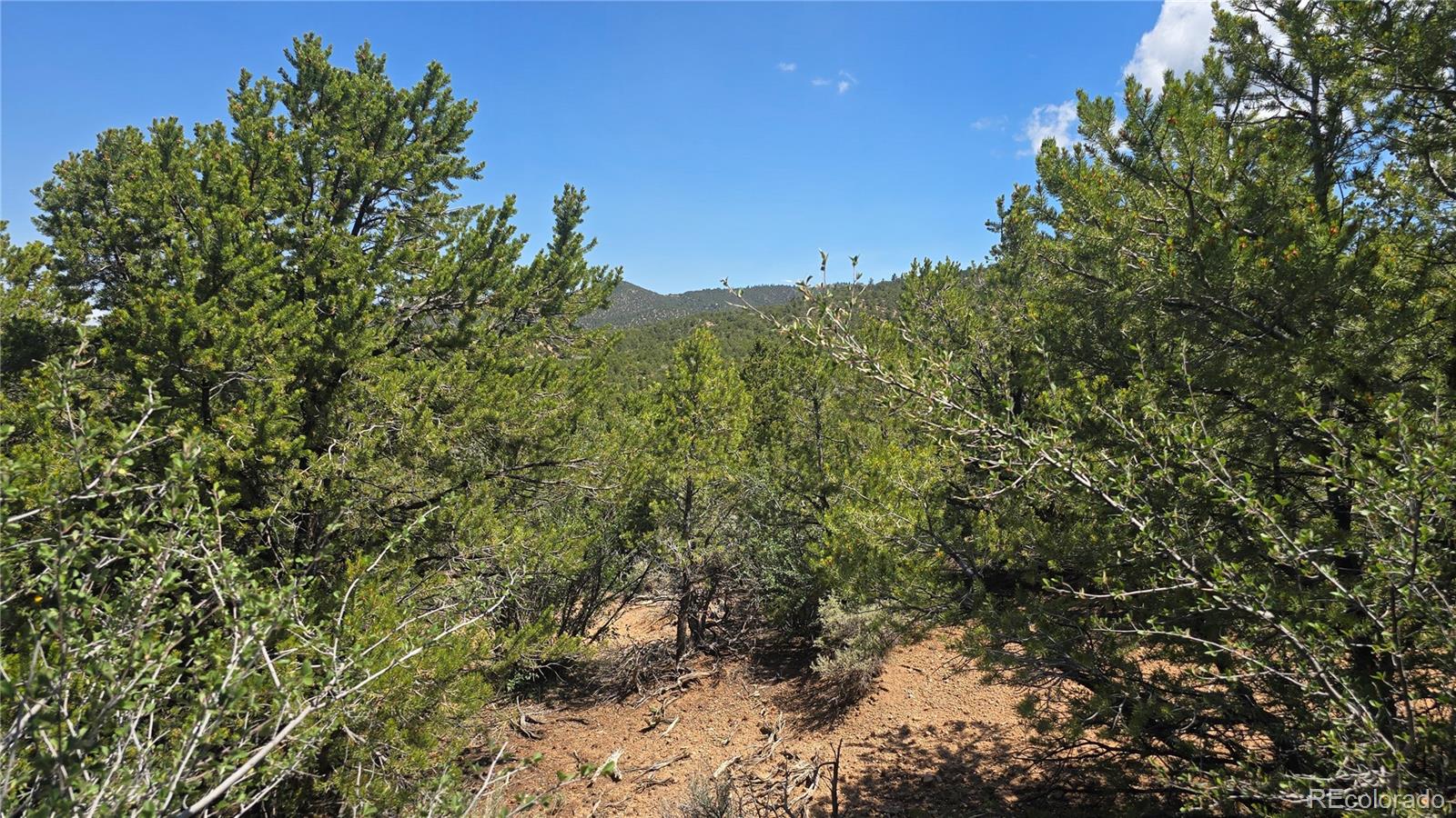 Lot 1615 Dunn Road