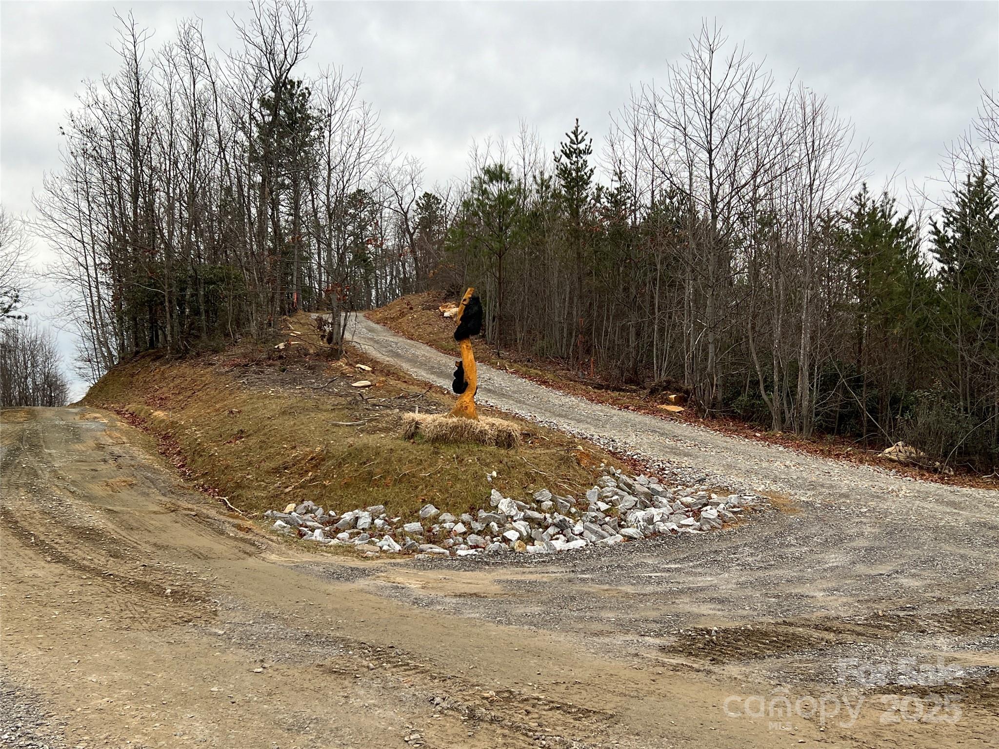 TR 14 Blackberry Ridge