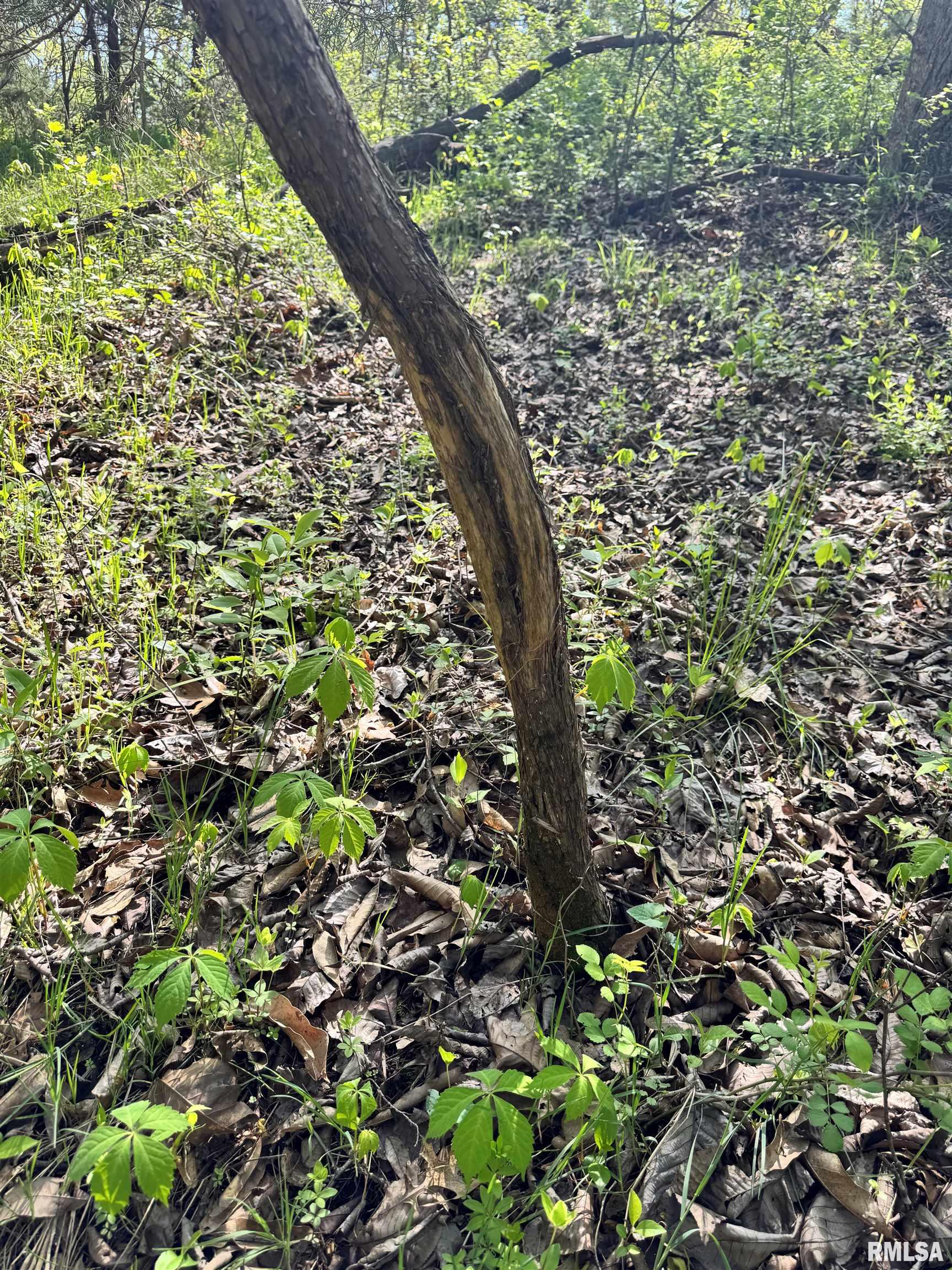 000 E 3053rd Lane