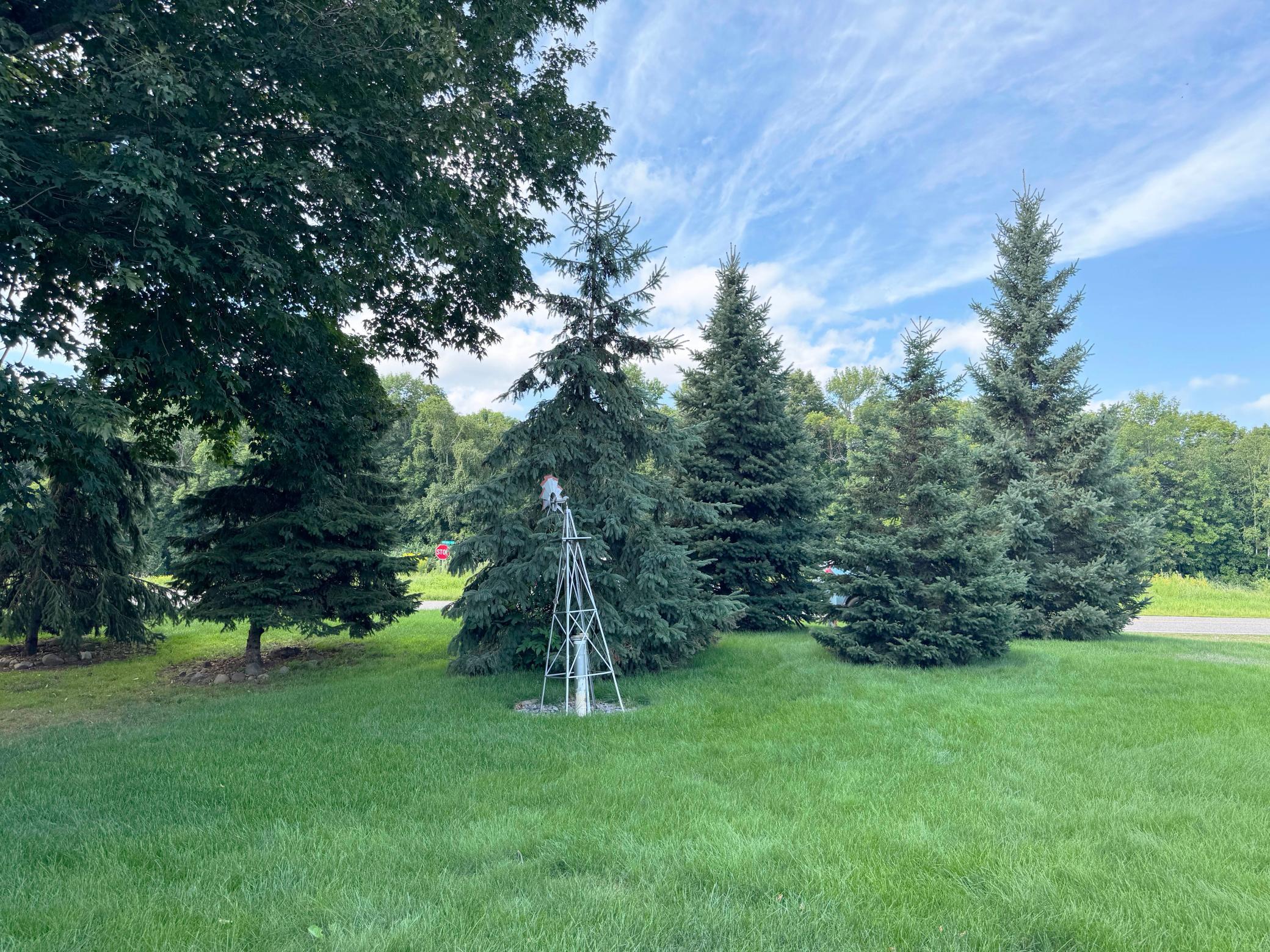 44205 Conifer Street