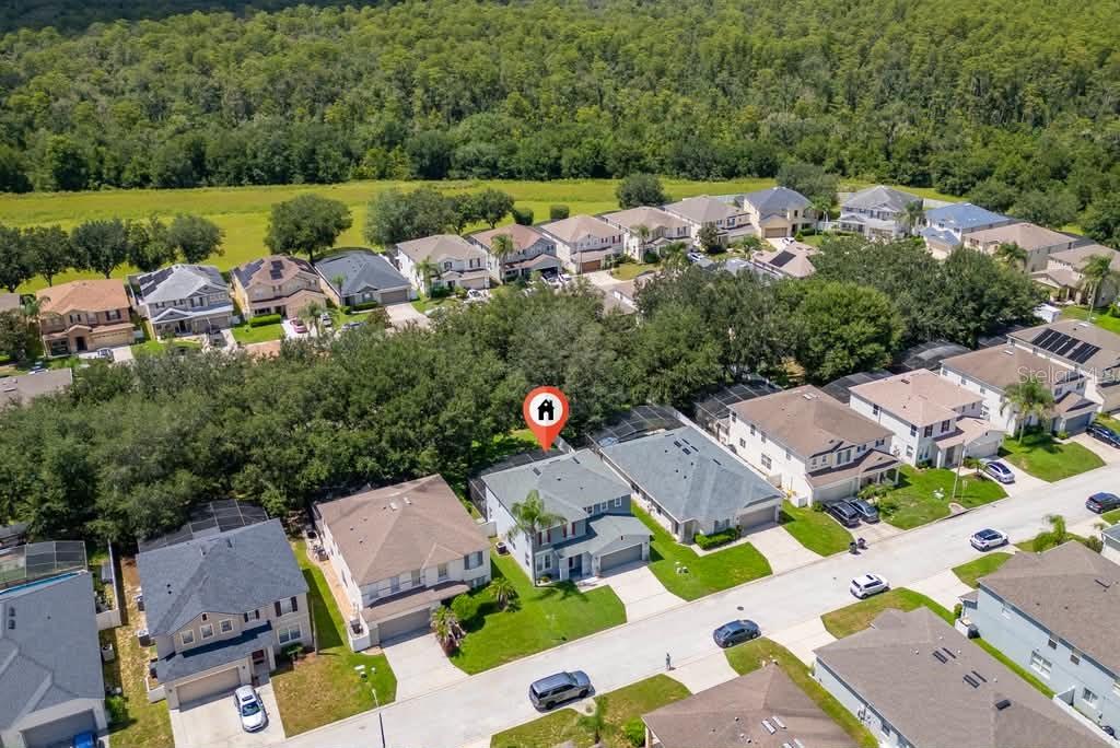 241 Andover Drive