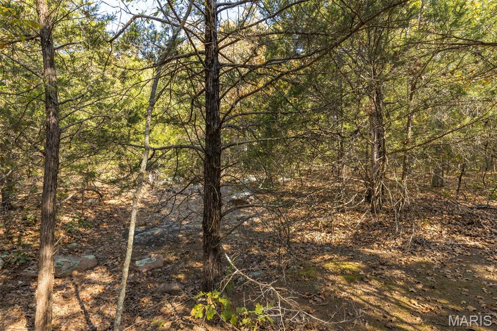 12.5+/- Acres On Effin Road