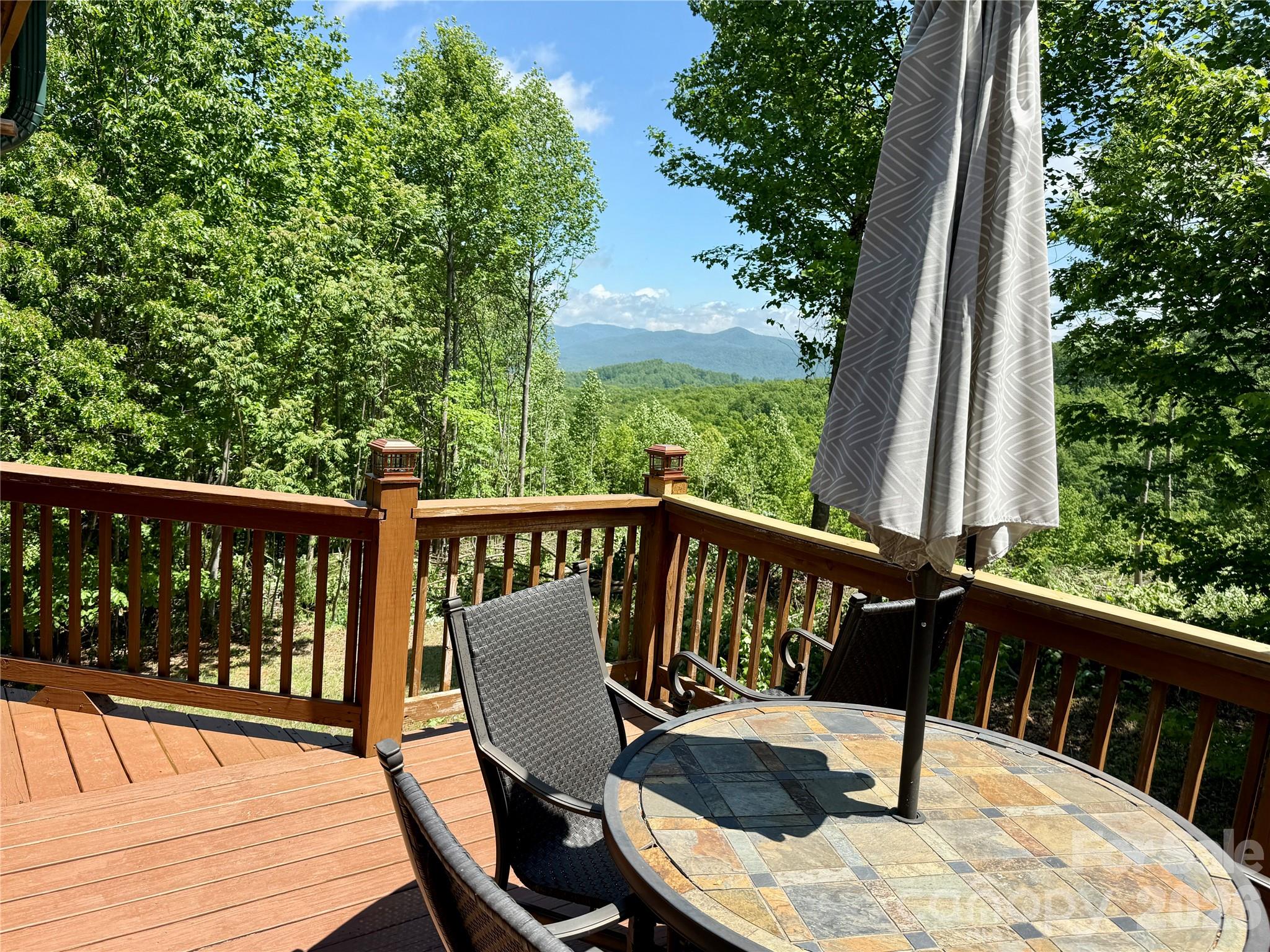 1143 Grandview Peaks Drive