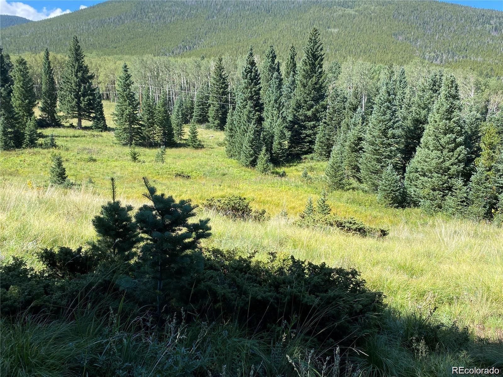 Lot 3141 Forbes Loop Road