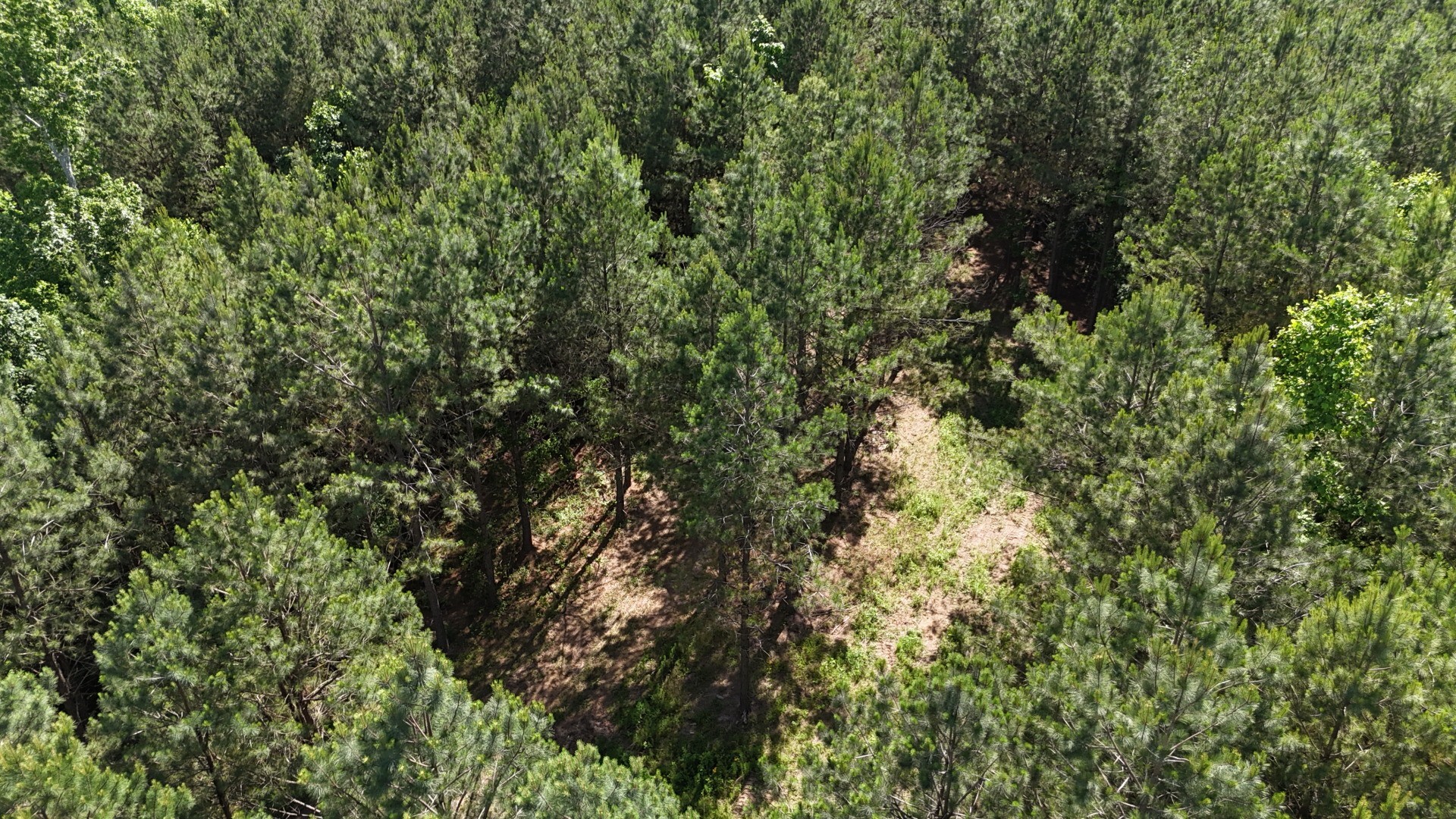 3149 Mcgee Rd