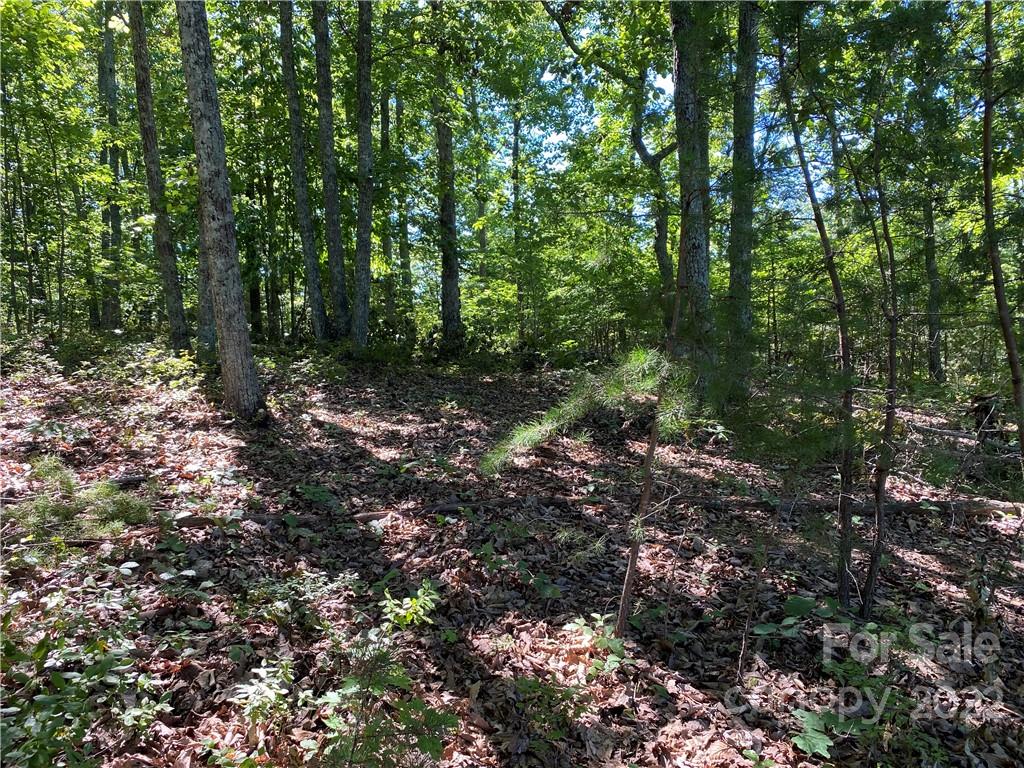 362 Mossy Oak Trail 128