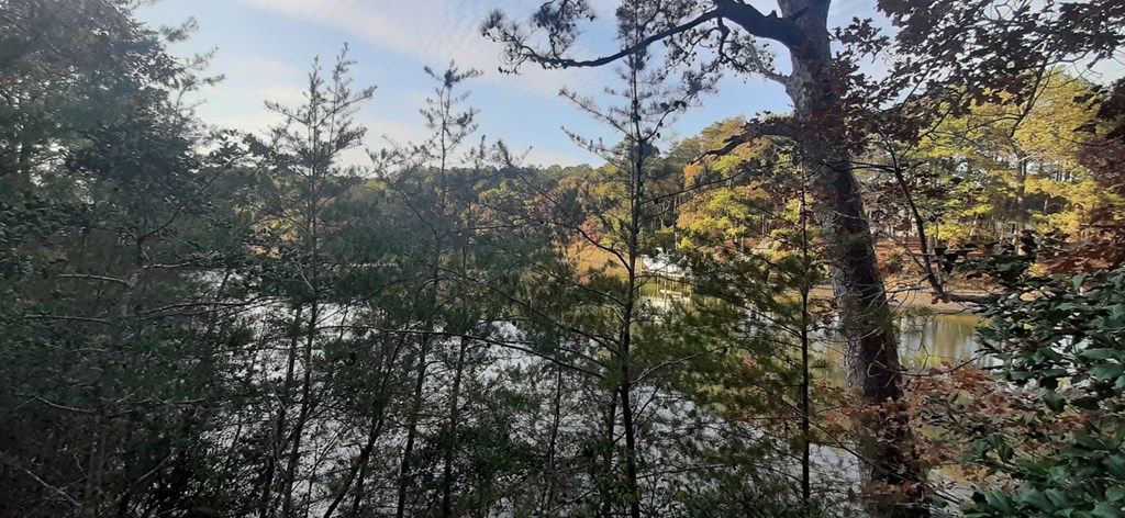 Lot 17 Wilsonia Shores Dr 17