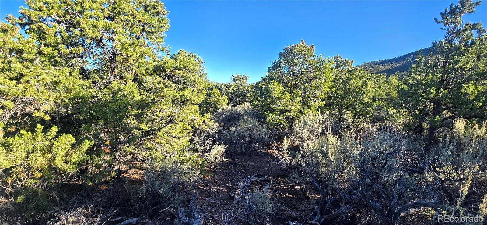 Lot 1361 Dunn Road