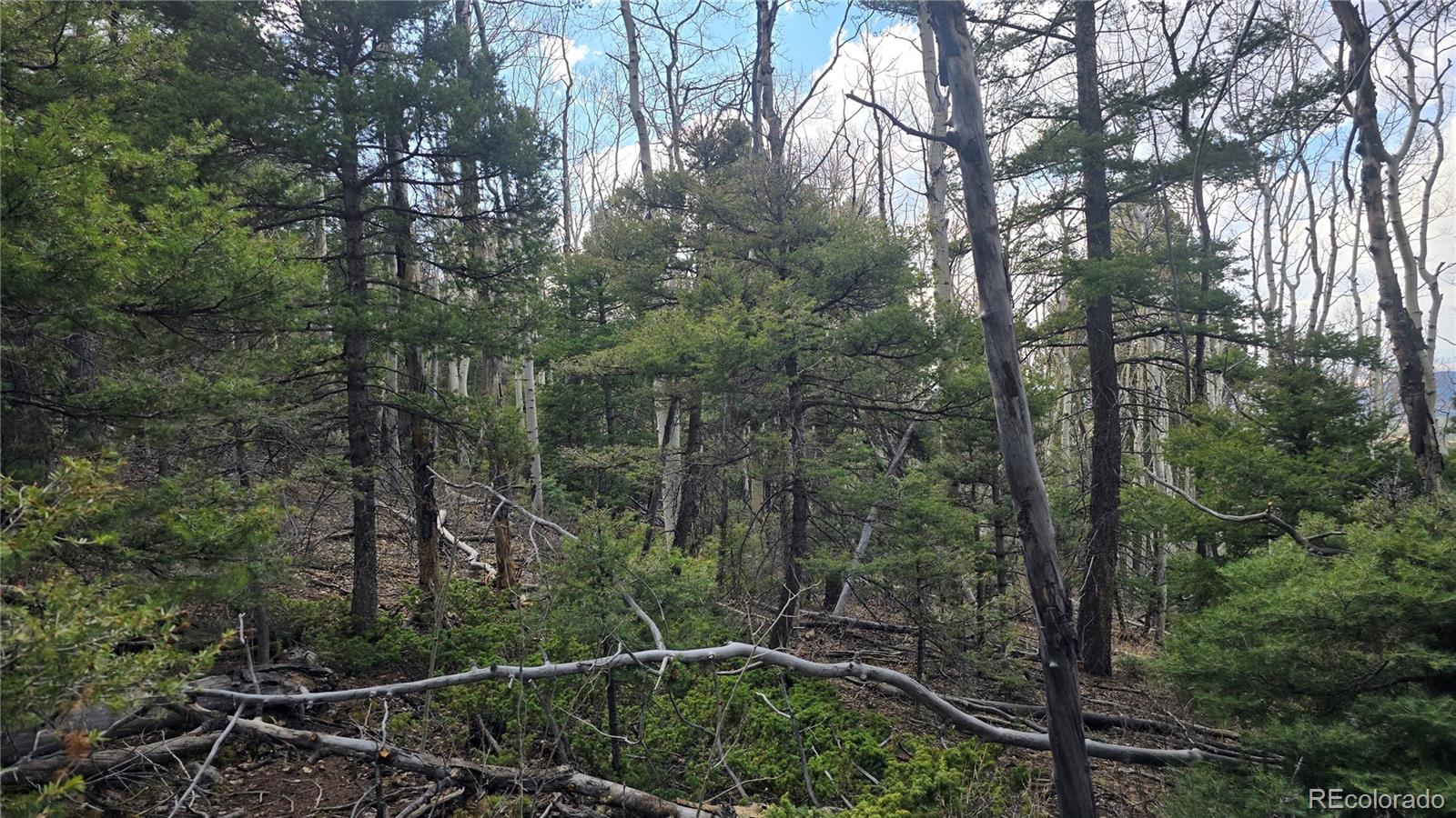 Lot 5261 Scott Road