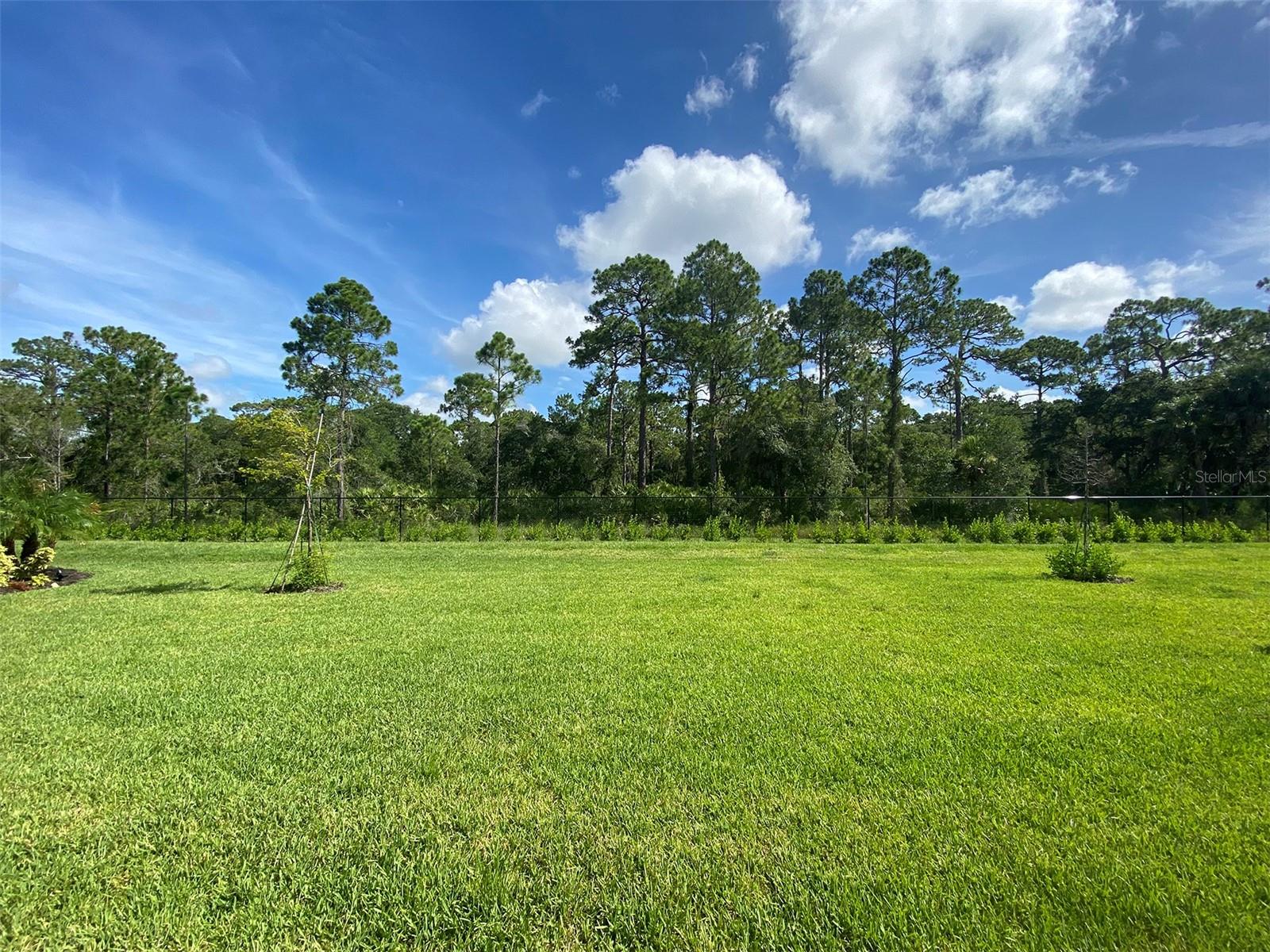 15936 Honeysuckle Street