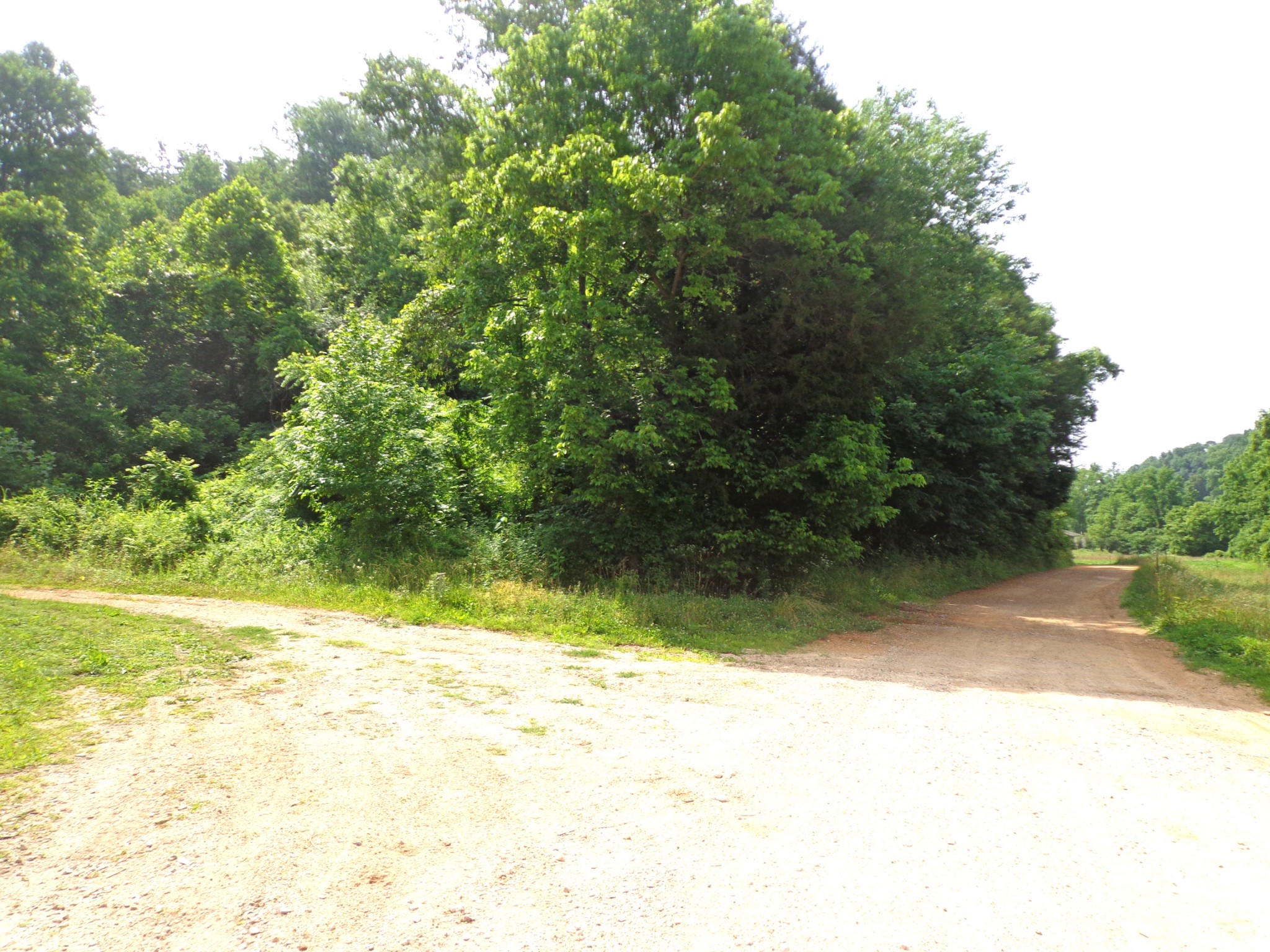 1342 Russell Creek Rd
