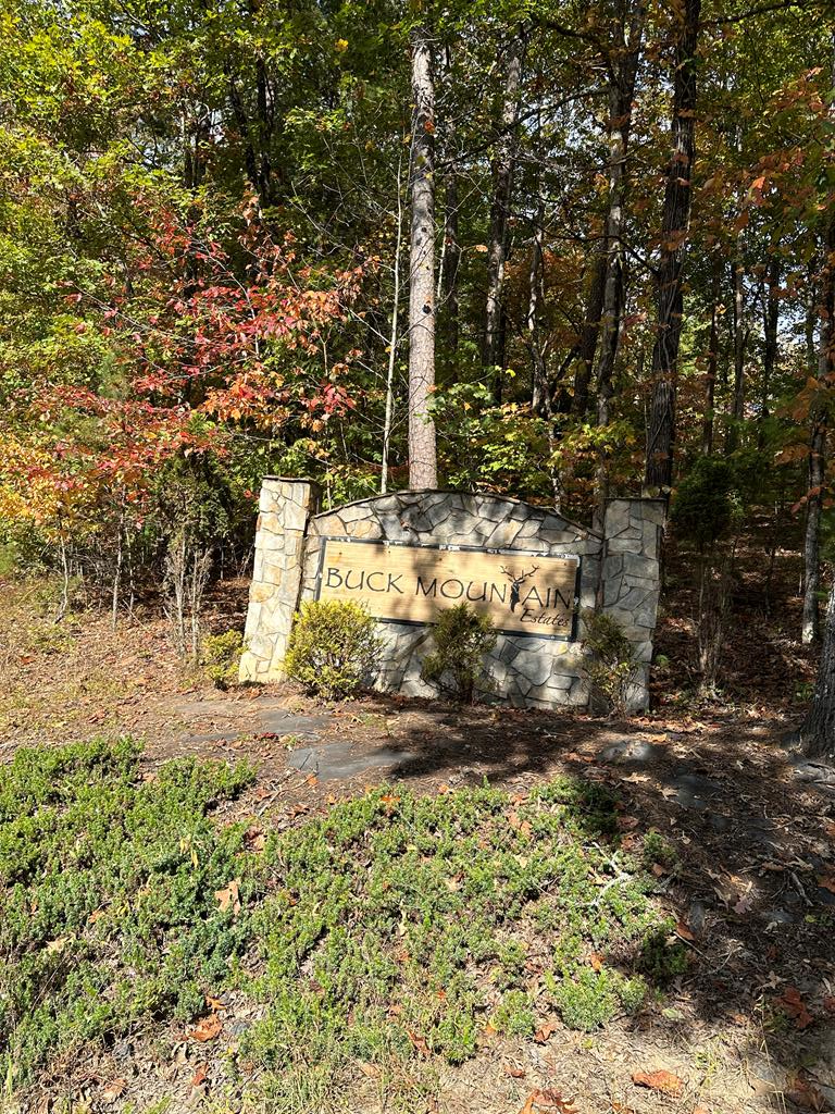 Excellent rolling lot located in Buck Mountain Est. Underground utilities and water. Fantastic buy for your future mountain getaway. Located close to Murphy NC, and Blue Ridge GA.