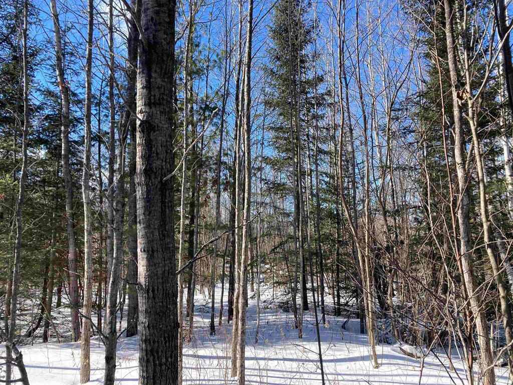 FANTASTIC 39 M/L Acres North of Mio! This square parcel, less an acre out of the NW corner, is mostly wooded, rolling and has frontage on both Miller and Gerber Roads. Excellent for building with power readily available and numerous spots for a home or recreational get-a-way! Cherry Creek begins not far away and the tiny creek meanders through the property with a second tiny feeder creek from the north. Many neighbors have ponds so the potential is there for something cool. A super mix of some open, some low, loads of thick fir, spruce and even some cedar, along with poplar wooded high ground. Excellent for all types of hunting with winter habitat for white tail, grouse and rabbits. Just 4-5 miles to either Mio or Fairview and the AuSable River and minutes away to loads of State and Federal Forest. With less and less vacant land all the time, this could be the property for you!