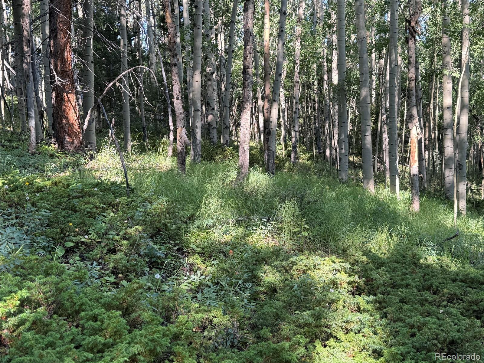 Lot 5331 Hull Road