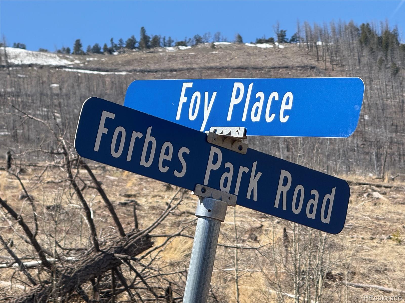Lot 999 Foy Place