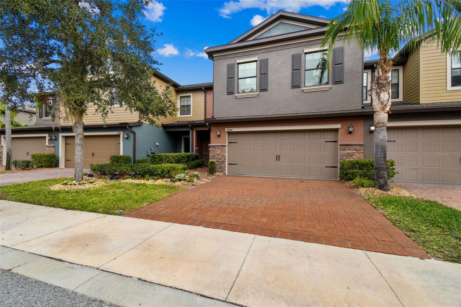 17284 Old Tobacco Road