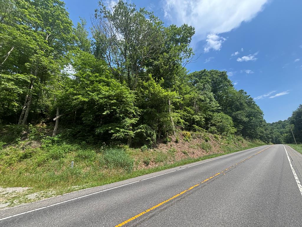 25.5 acres located just minutes from the town of Independence. Property is located on Elk Creek Highway. Great place to build your dream home with multiple build sites and listen to the creek across the road. Acreage would also great for recreational and hunting purposes. Consist of two tracts. Some timber value on Property.