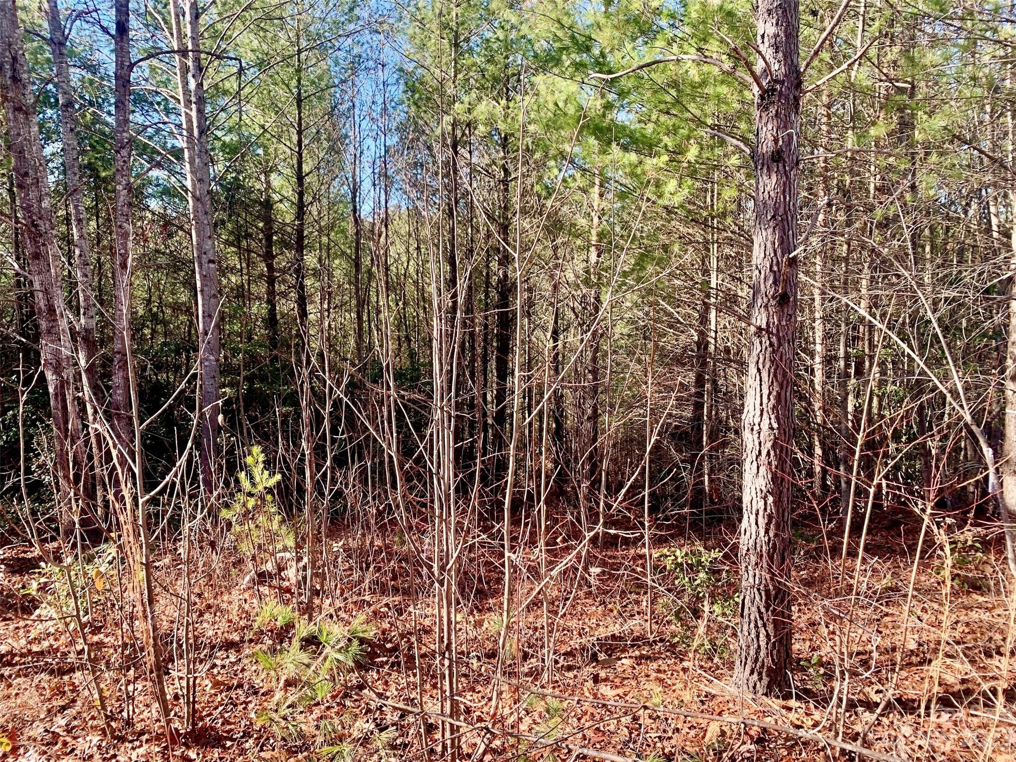 1.93 acres, Lot CB-6 Blowing Pines Court Lot CB-6