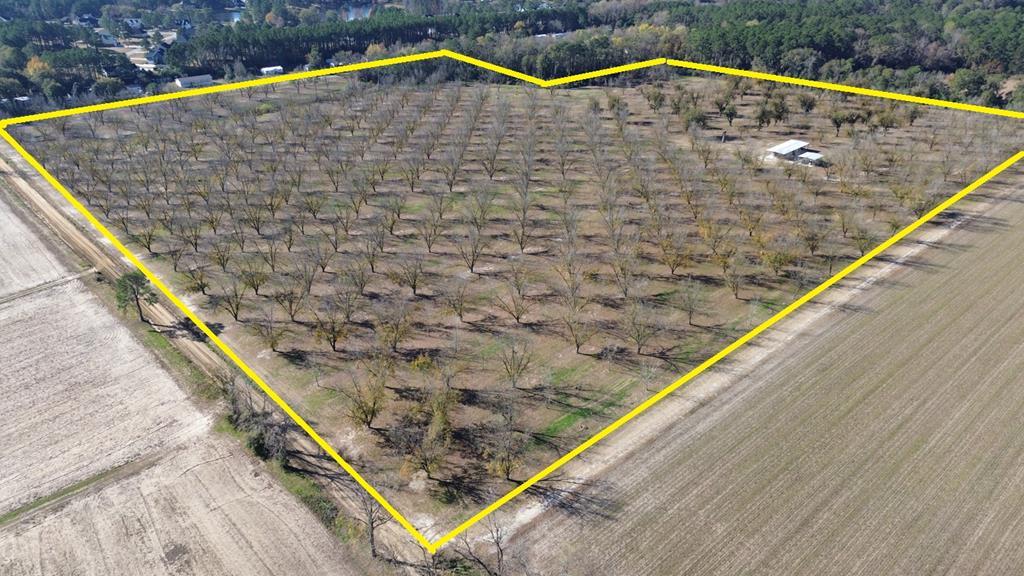 Transitional Tract. The property is currently used as a well-managed Irrigated Pecan Orchard with a 6" Well with a 25 HP Pump, tractor sheds, and pecan varieties of Stewarts, Cape Fear, and Zinner.  Consider adjacent and nearby zonings of MHP, R2, and R3 zonings and see how this site could transition into an excellent site for a Manufactured Home Subdivision or another multi-family site that could take advantage of  City Water and location near Red Hills Industrial Park. GreatTifton and Dothan Soils, Road Frontage on two Streets, near other subdivisions,  and convenient to Thomasville.  City Water at the corner of the property.  Near Red Hills Industrial Park locate .5 miles to the East on Hwy 319.  1,126' Sanford Road Frontage.  1,490' McGill Road Frontage.  You need to put Pen to Paper on this one.  The property would need to be rezoned.  Rezoning makes all the sense in the world.  The property would make a great homesite tract. as it now is.  Country Setting.  Quiet Dirt Road, Deer, and Turkey.  Small pond Site.  The property is not in the AG Covenant.  It could be divided into several homesites as it is.  Build a home.  Lease out the peccan orchard for income.  The exit strategy down the road would be to transition into a residential development if you did not want to develop now.  A very good investment for future generations. Video available.