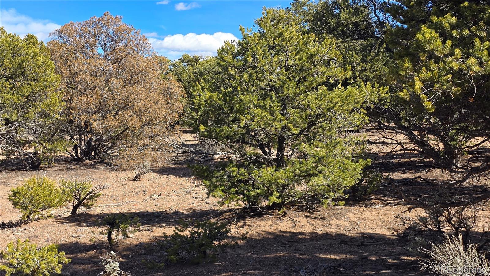 Lot 409 Williams Road