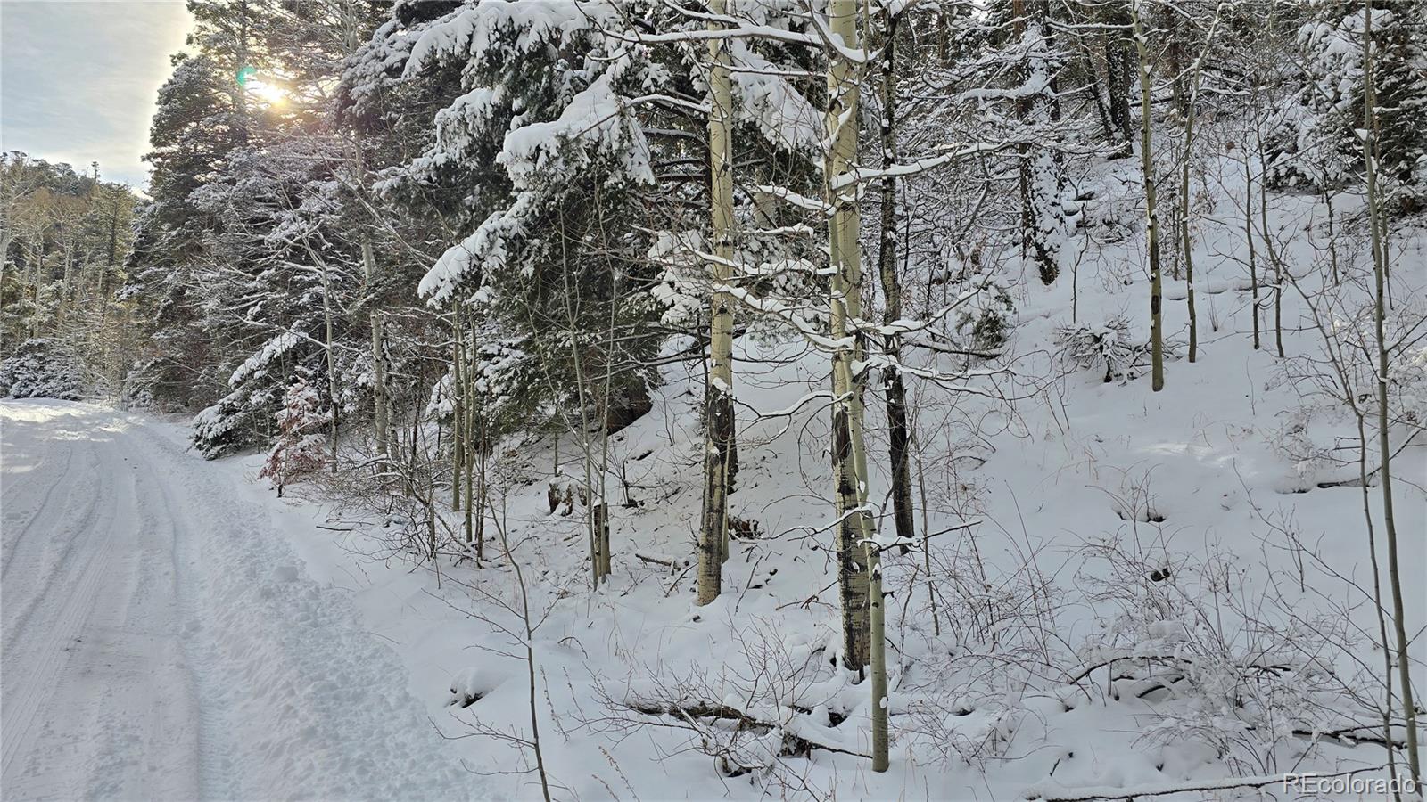 Lot 5540 Joy Road