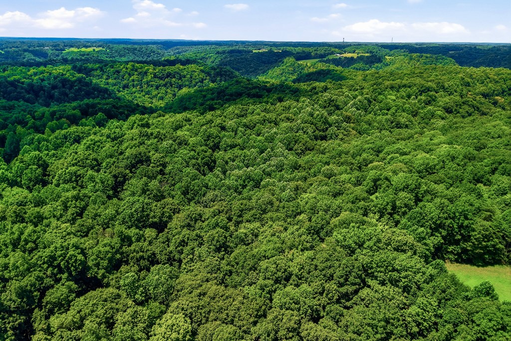220+/-AC Hensley Cemetery Ln