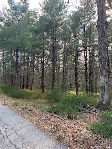 00 Upper Pine Kill Road