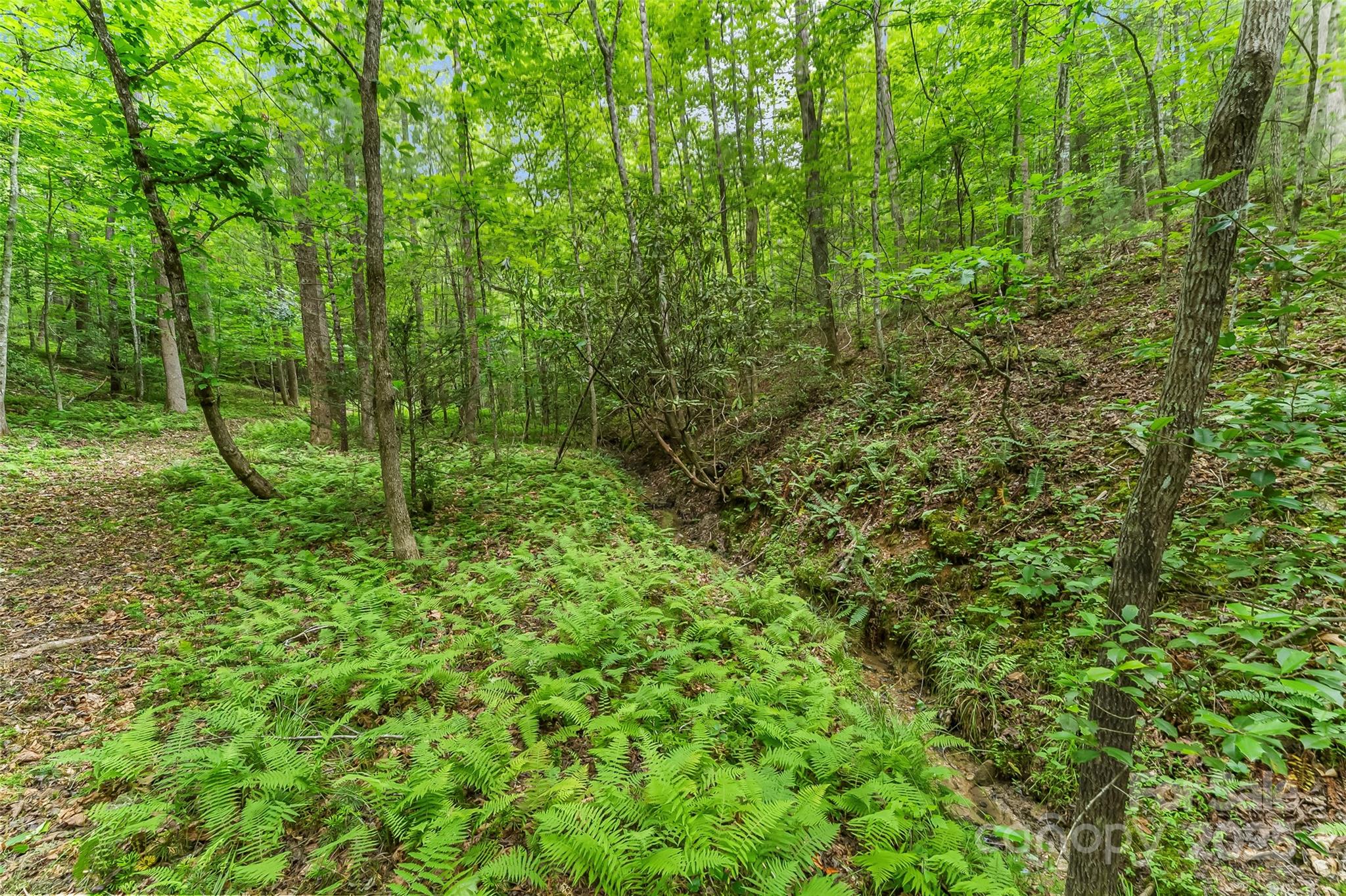 4090 Pea Ridge Road