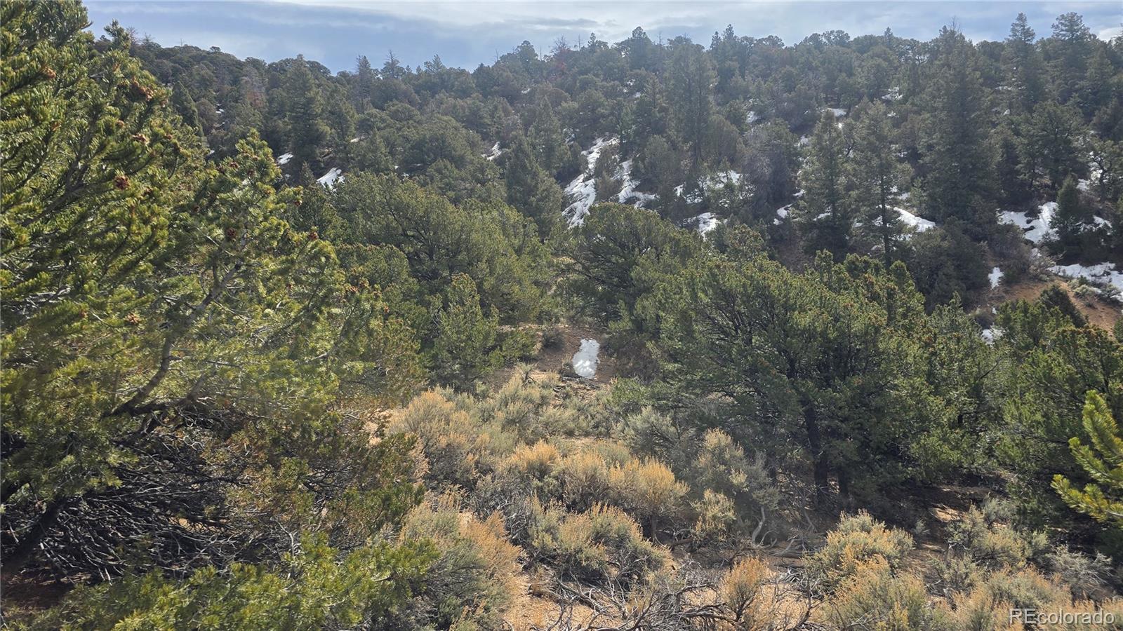 Lot 1628 Hidalgo Road