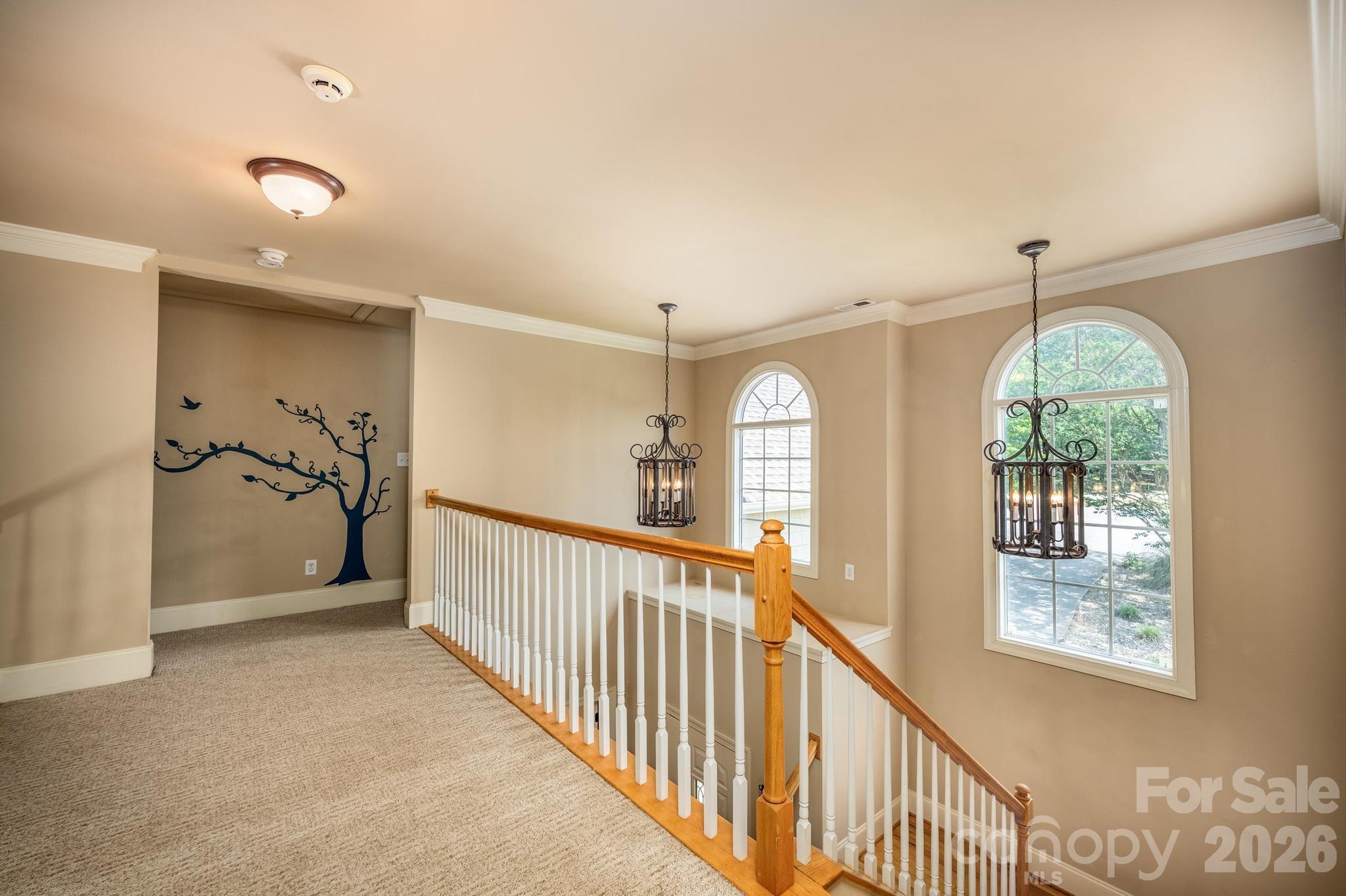 6231 Neptune Drive