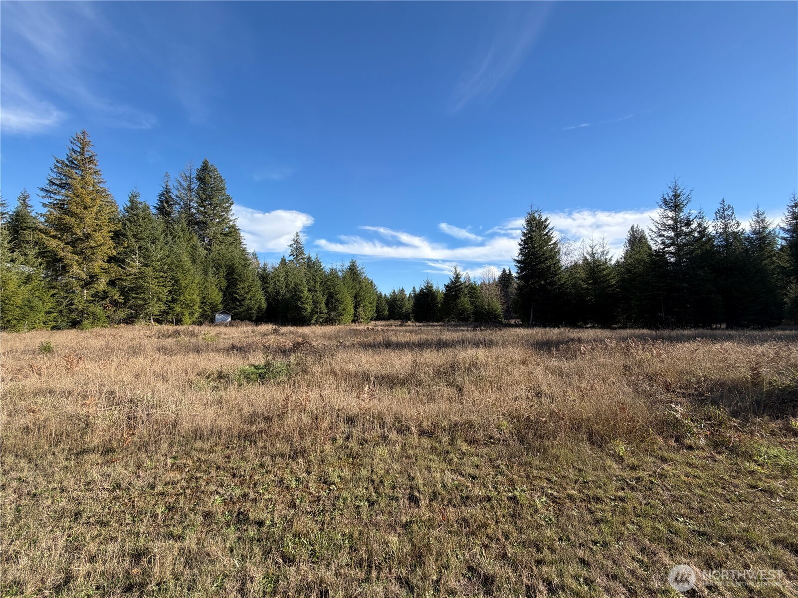 Fly-in to the premier recreation paradise! PILOTS! Live the ultimate aviation lifestyle at Randle Kiona Airpark! Own a 5-acre lot right off the runway—perfect for your custom home, hangar, or fly-in retreat! Surrounded by the triangle of iconic peaks—Mt. Rainier, Mt. Adams, and Mt. St. Helens! Unmatched year-round recreation, wildlife, and privacy! Oliver Creek-Cowlitz Creek, WRIA 26Cowlitz, known for High-quality cold water streams. Power transformer at property corner. Septic needed. Airpark HOAs: RKAA & KPEA. NO STRs. Airstrip Info: WN55 Randle Kiona Airpark Airport - Runway: Dimensions: 2400 x 32 feet / 732 x 10 meters 800X200 GRASS OVERRUN WEST END OF RWY - Coordinates: N46°30.69' / W122°0.37' Call or text for more info!  Pilot tours of the air strip~ call for details. Seller offers a Geo Tech report credit with an offer!