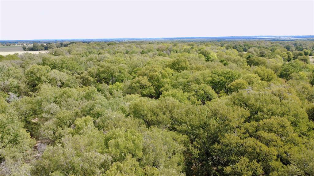 TBD 18.335 ACRES Lcr 218