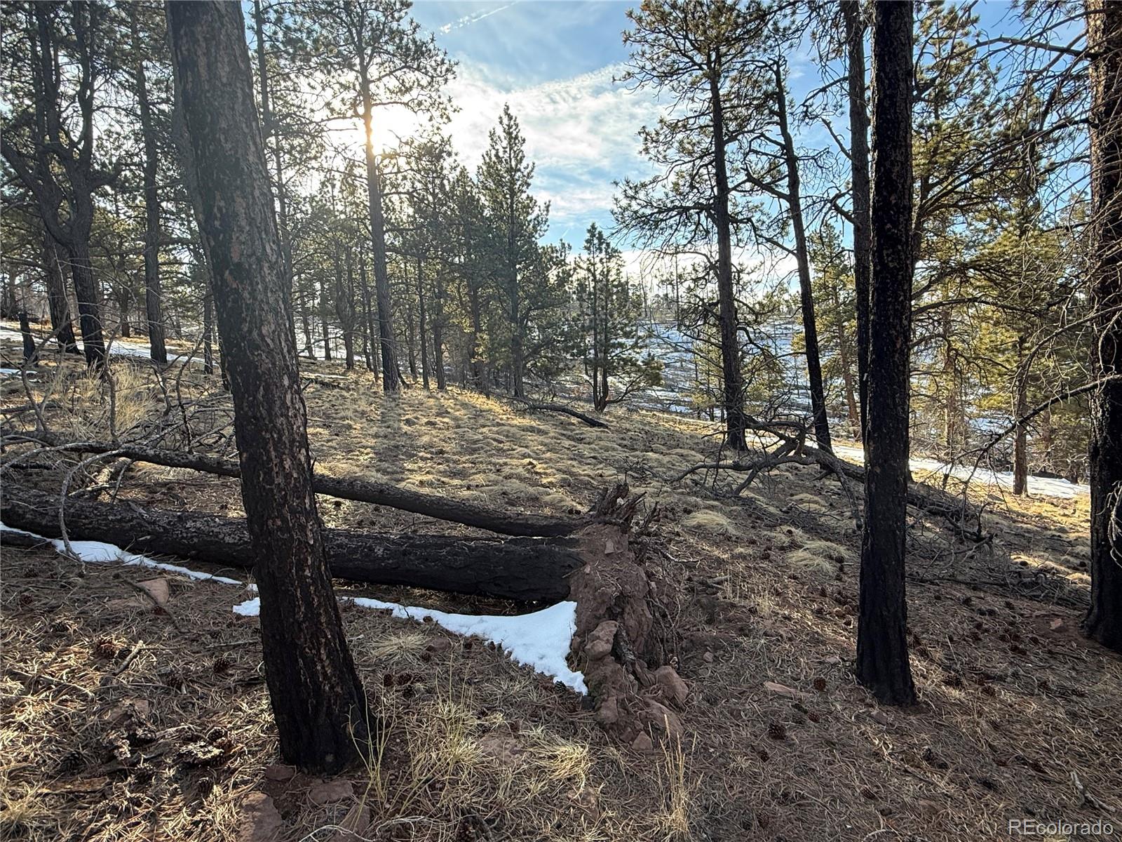 Lot 356 Spangle Drive