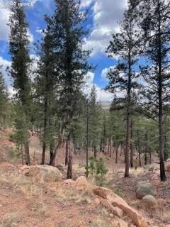 14635 Columbine Circle