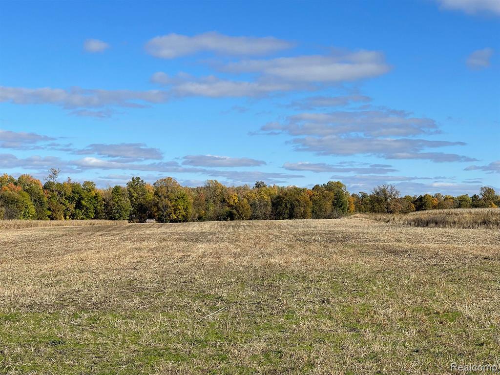 Beautiful and rare 40acre parcel located in Eagle Township (low taxes) within the highly desired Grand Ledge school district. Build your dream home on 40 acres with ~25acres being trailed woods with excellent hunting (several deer stands to be included in sale) and ~15acres of beautiful rolling hills that is walkout basement ready. Property has access to high speed fiber internet. Located just minutes from downtown Grand Ledge, as well as easy access to I96. Permission required to view in person.