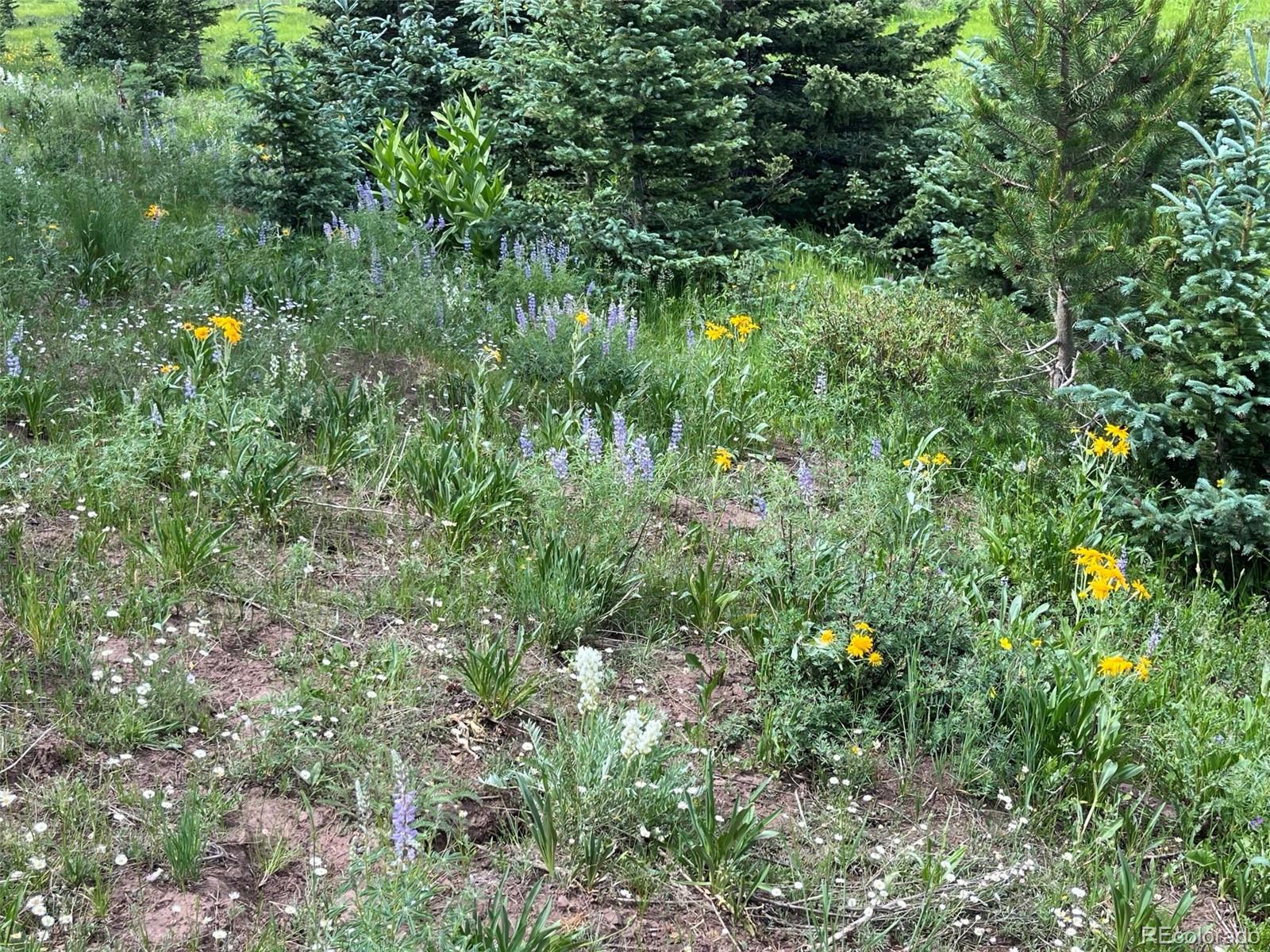 Lot 3091 Sterenson Place
