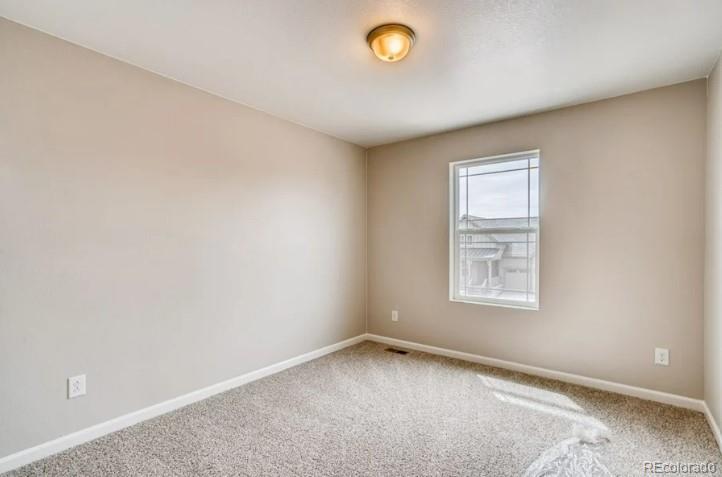 13374 Blue Amber Court