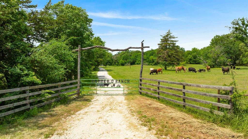 690 County Road 15560