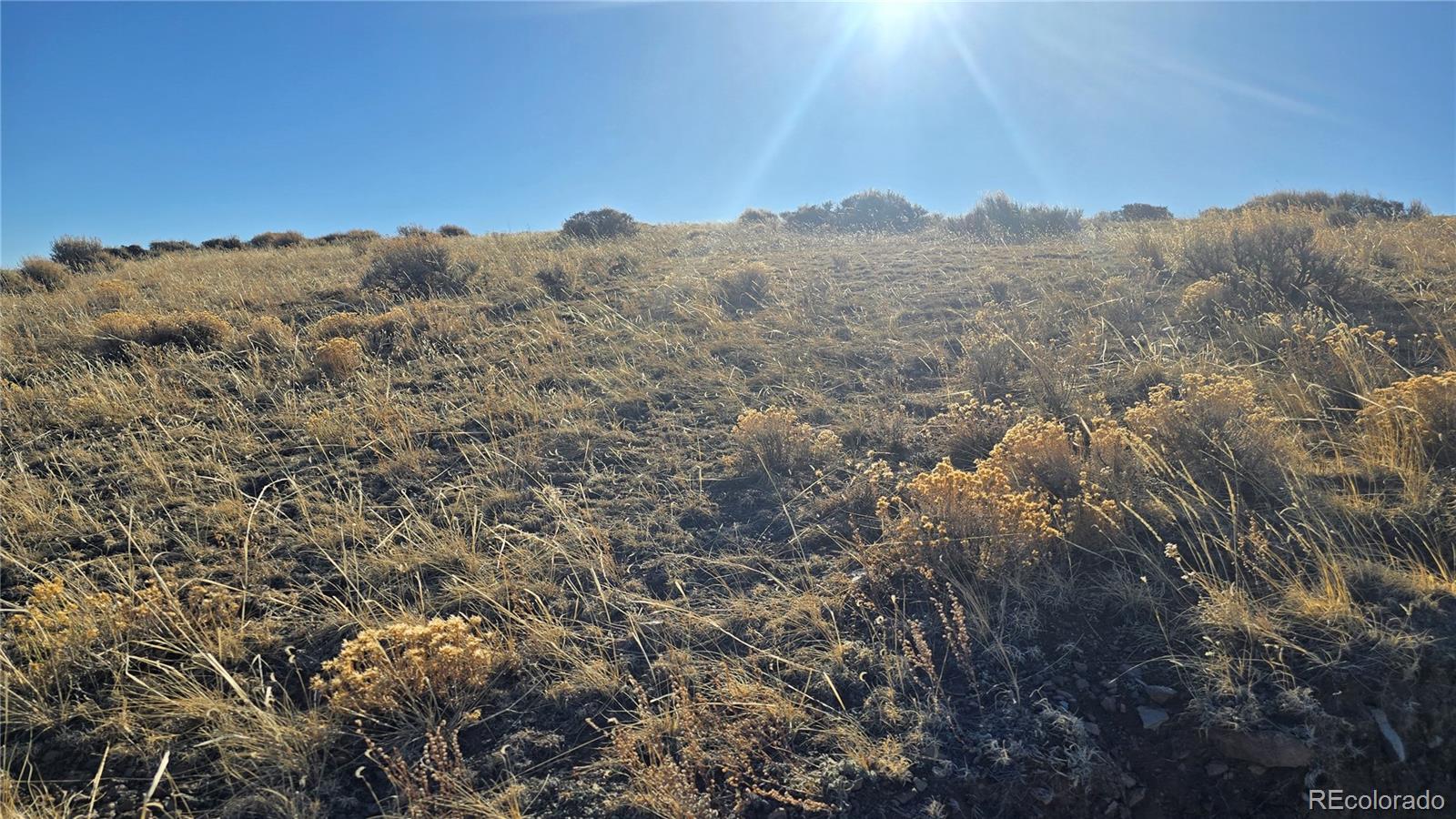Lot 4902 Jaffe Road