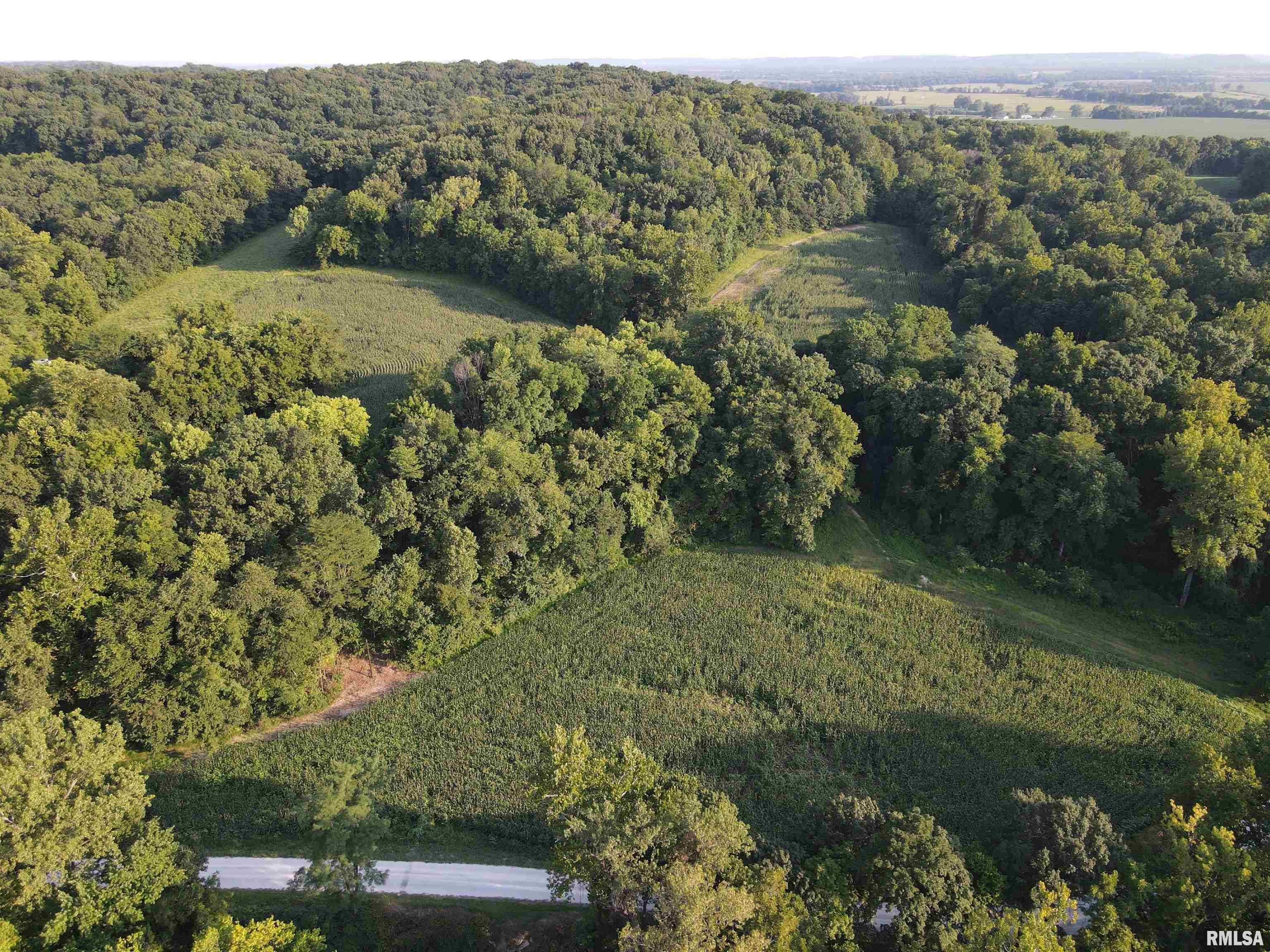 45± Acres – Pike County, IL | $375,000  Prime combination tract offering income-producing tillable ground and quality timber in one of Pike County’s most sought-after hunting regions. Of the 45± total acres, 15± acres are tillable with a Productivity Index of 107, providing solid rental or farming income potential. The balance of the property features 30± acres of mature timber, offering excellent habitat, cover, and recreational value.  A natural spring on the property adds a rare and valuable water source, supporting both wildlife activity and long-term land health. This tract offers the ideal blend of agricultural income and hunting/recreational opportunity, situated in a well-known Pike County whitetail corridor.  Whether you’re looking to add tillable income to your portfolio, build a hunting retreat, or both, this property checks the boxes. Don’t miss your chance to own a piece of Pike County ground with productive soil, mature timber, and a dependable water source. Call today to schedule your private showing.
